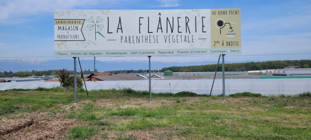 flanerie